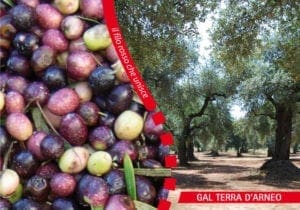 cartolina_1