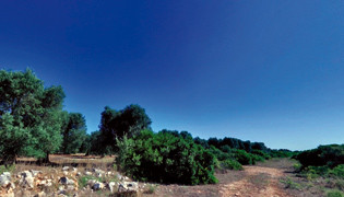 Macchia de Rizzi